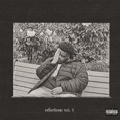 Reflections:, Vol. 1
