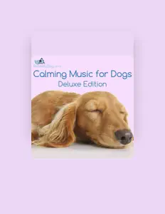 Relaxmydog सुनें, म्यूज़िक वीडियो देखें, बायो पढ़ें, दौरे की तारीखें और बहुत कुछ देखें!