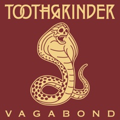 Vagabond (Radio Edit) - Single