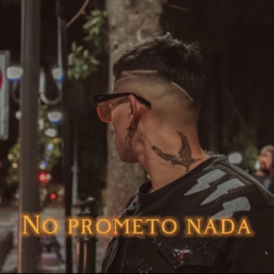 NO PROMETO NADA - Single