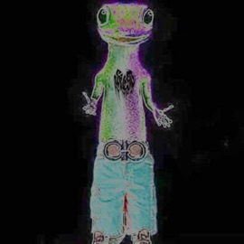 skestgotaskolymerBO Skest