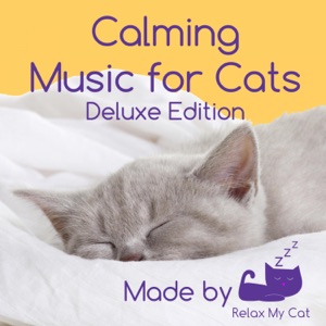 Calming Music for Cats - Reduce Anxiety During Fireworks, Sickness, Pregnancy, Grooming