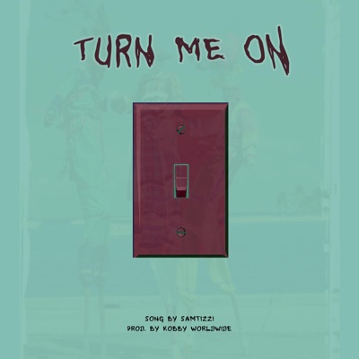 Turn Me On - Single
