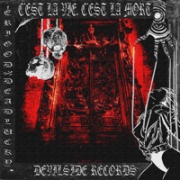C'est la Vie, C'est la Mort. (feat. 死DeadLucky) - Single - Erigød