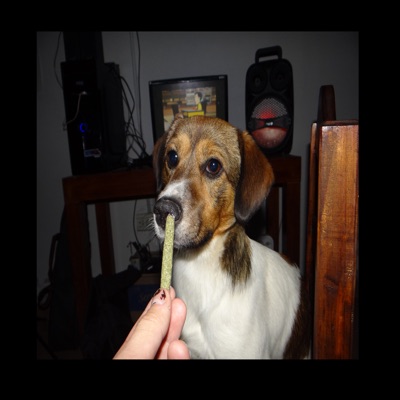 Smook - Single