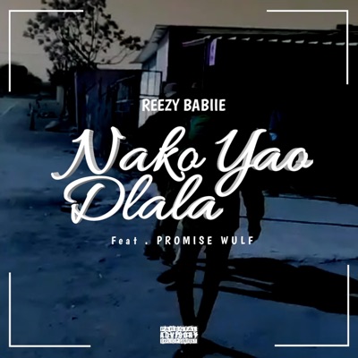 Nako Yao Dlala (feat. Promise Wulf) - Single
