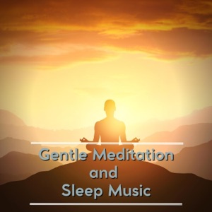 Gentle Meditation and Sleep Music