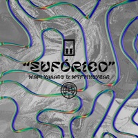 EUFÓRICO (feat. Wtfthisyear) - Single - Wapi Yaaass