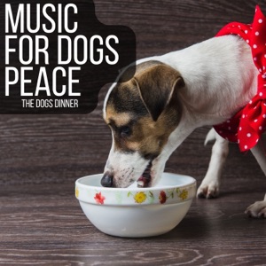 The Dogs Dinner