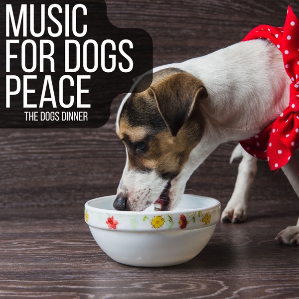 The Dogs Dinner
