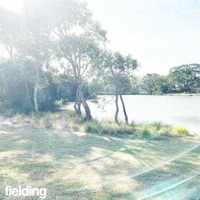 Fielding - EP - fauna