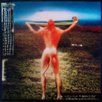 Muscle Memory - Eigen Risico