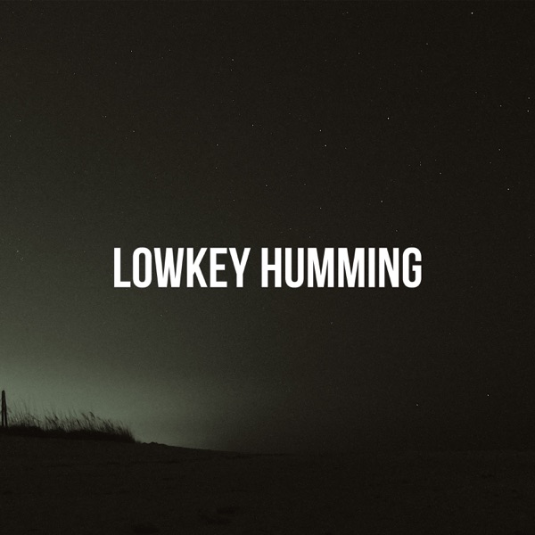 Lowkey Humming - Single