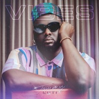 Vibes (feat. Yves the Male & Twinbeatz) - Single - Tommy Kuti