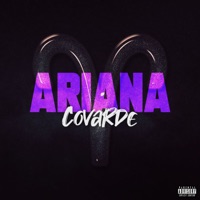 Ariana Covarde - Single - Lucas BHZ, Mc Laureta & Mc Lk da Rampinha