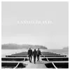 More Than Say I Do