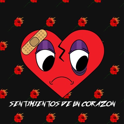 SENTIMIENTOS DE UN CORAZÓN - Single