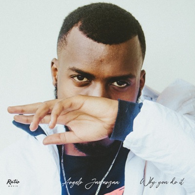 Why You Do It - Single