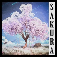 Sakura - Single - KSLV Noh & TAKESHI