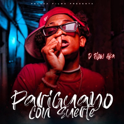 Pariguayo Con Suerte (feat. D'Flow Aka La Maldad) - Single