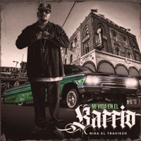 Mi Vida En El Barrio - Single - Nika El Traviezo