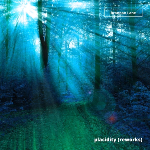 Placidity (Reworks) - EP