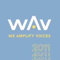 2011 - We Amplify Voices