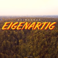 Eigenartig - Single - Edinger45