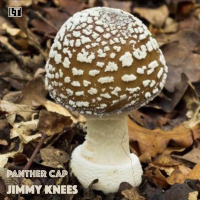 Panther Cap - Single