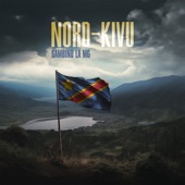 Nord-Kivu artwork