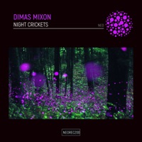 Night Crickets - Single - Dimas Mixon