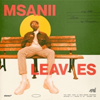 Leaves - Single - Msanii