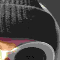 #Freekarsa #Freejah - Single - maushil