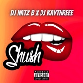 DJ Natz B - Shush (Midday Zess Riddim) (feat. DJ KAYTHREEE) artwork