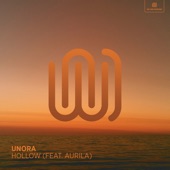 Hollow (feat. Aurila) artwork