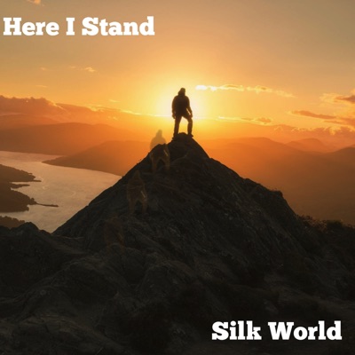 Here I Stand