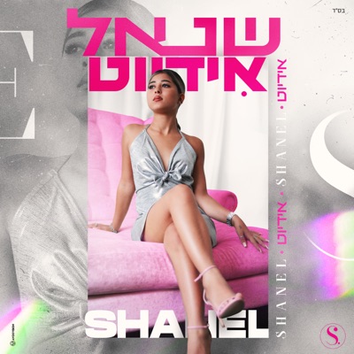 אידיוט - Single