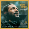 Marvin Gaye - What's Going On artwork