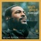 Inner City Blues (Make Me Wanna Holler) - Marvin Gaye lyrics