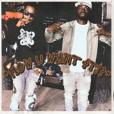 How You Want It? (feat. Sirr Blackie) - Single