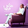 Talee Fiha - Single