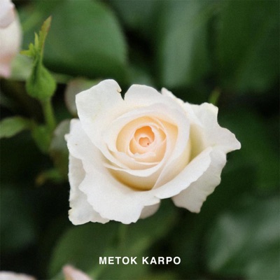 Metok Karpo (feat. Kunga) - Single