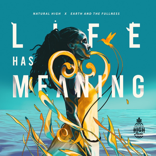 Life Has Meaning - Single