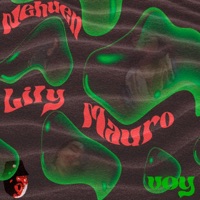 VOY (feat. Nehuen & Mauro) - Single - Lily Amadama