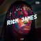 Rick James - LayD lyrics
