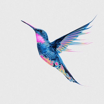 Hummingbird (feat. Katrina Anastasia) - Single