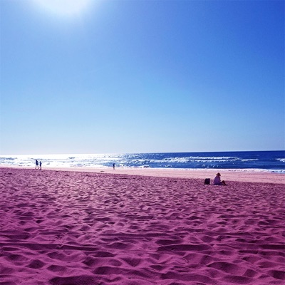 Summer Season - Single
