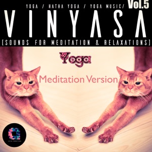 Vinyasa, Vol.5 (Meditation Version)