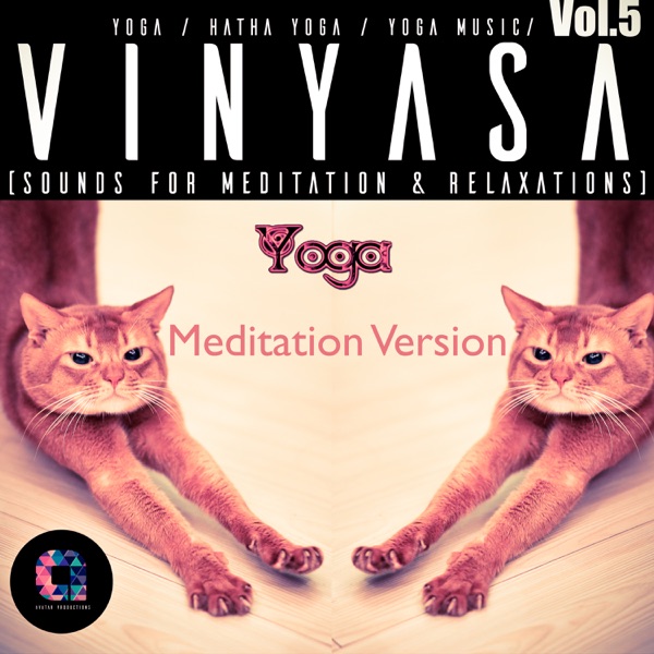 Vinyasa, Vol.5 (Meditation Version)