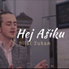 Hej Ašiku - Bilal Zukan